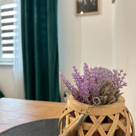 Apartament Zielony Kollataja Tomaszów Mazowiecki Buitenkant foto
