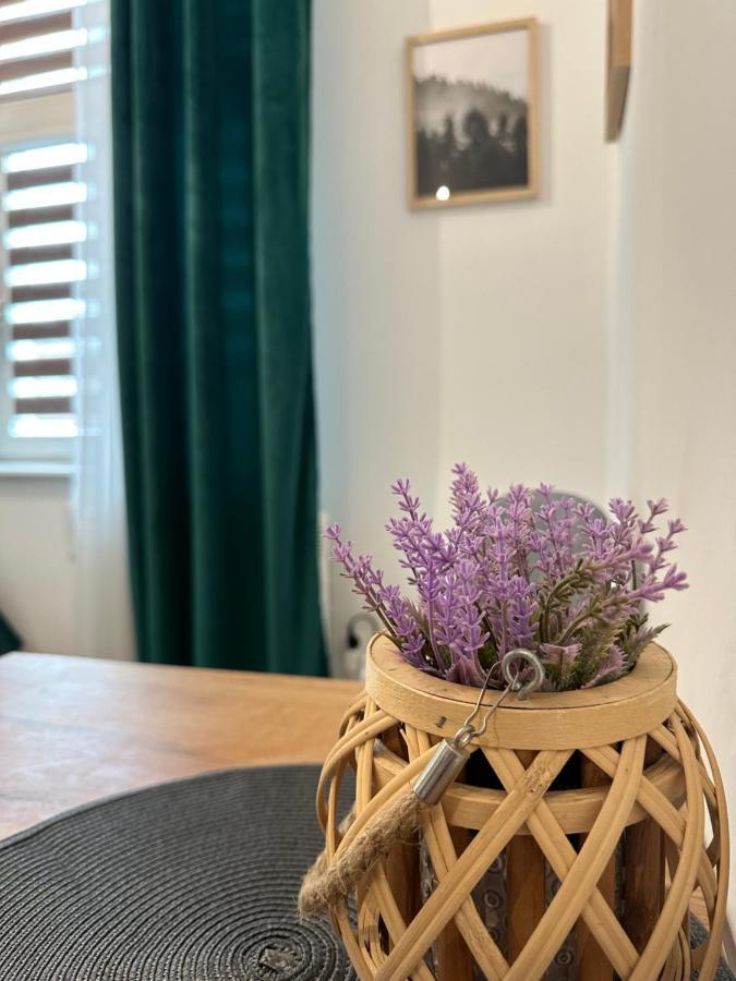 Apartament Zielony Kollataja Tomaszów Mazowiecki Buitenkant foto